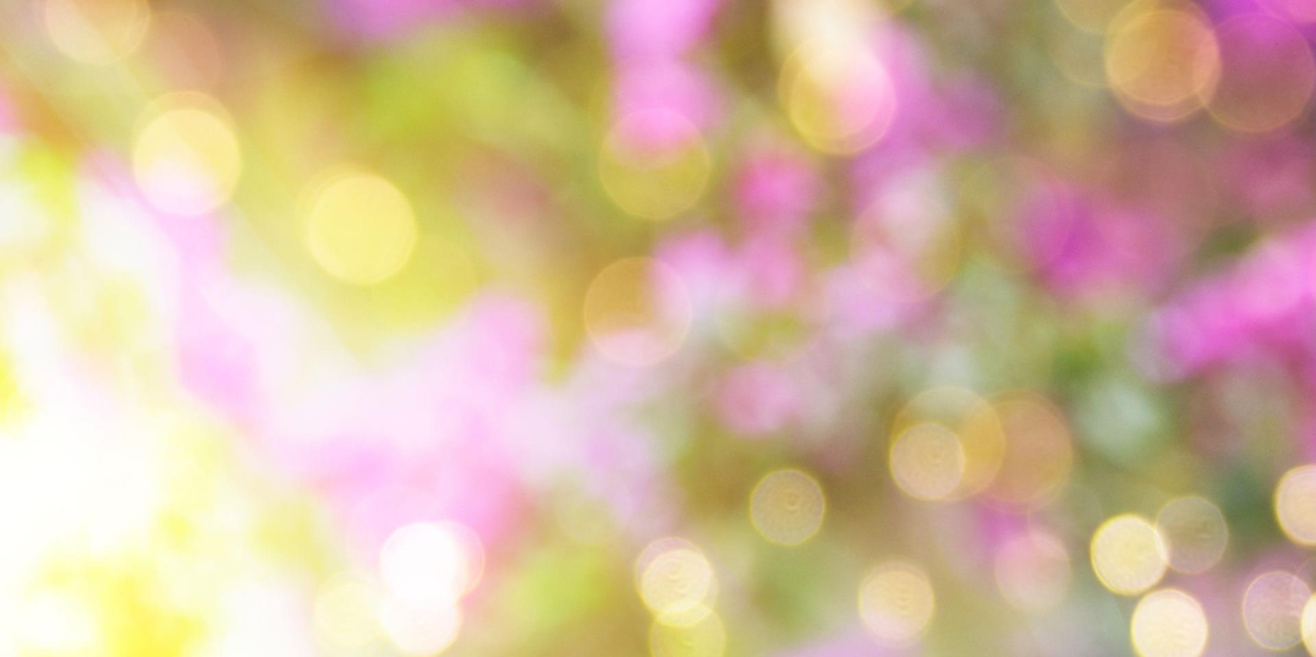 115年全臺春季賞花活動總整理｜櫻花、紫藤、海芋、柚花美景一次看！